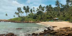 Kandy